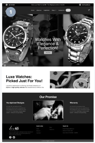 Luxe65 website project