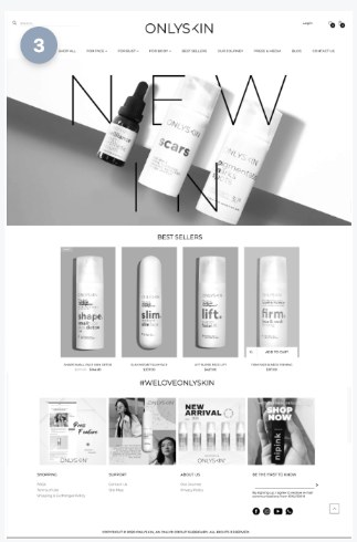 OnlySkin website project