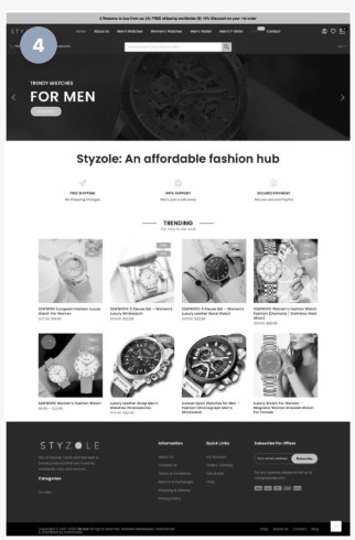 StyzoIe website project